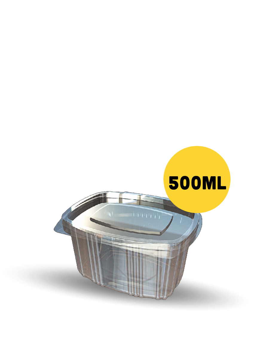 Plastic Container for Food |