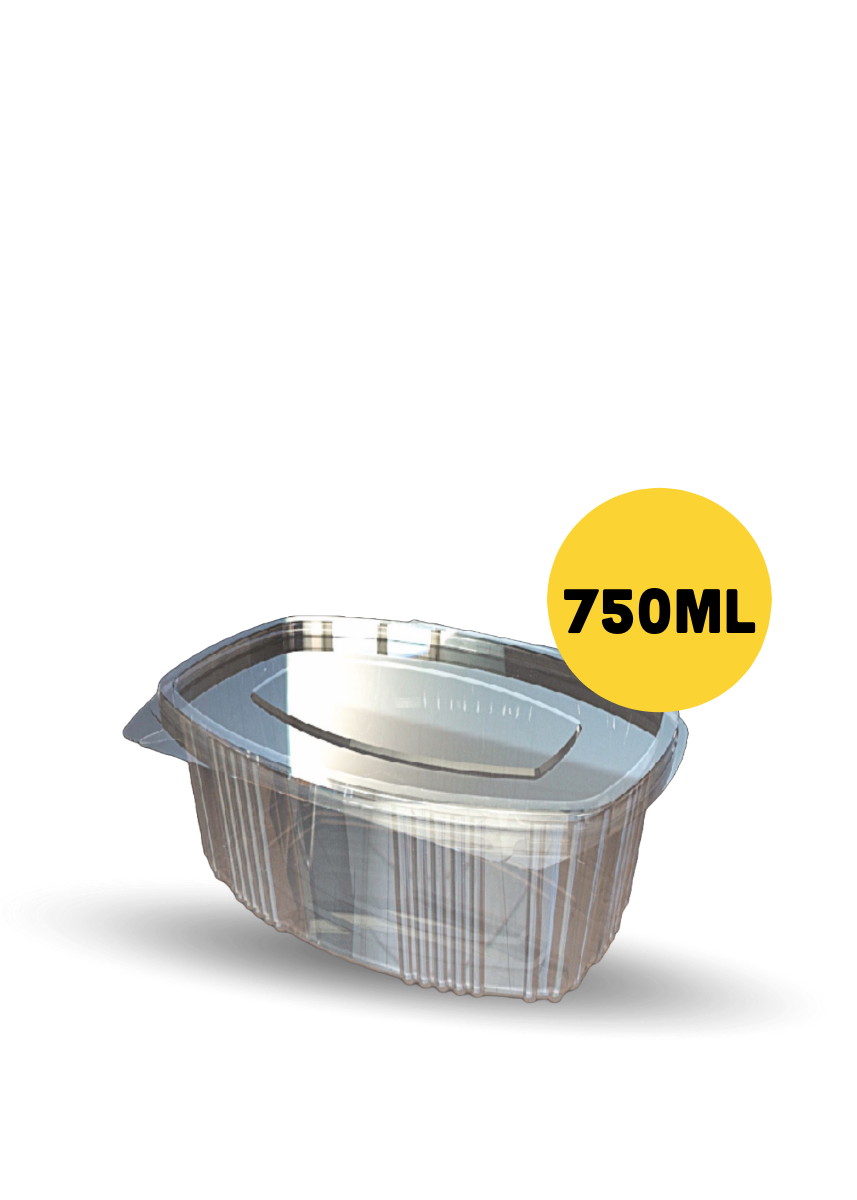 Plastic Container for Food  |