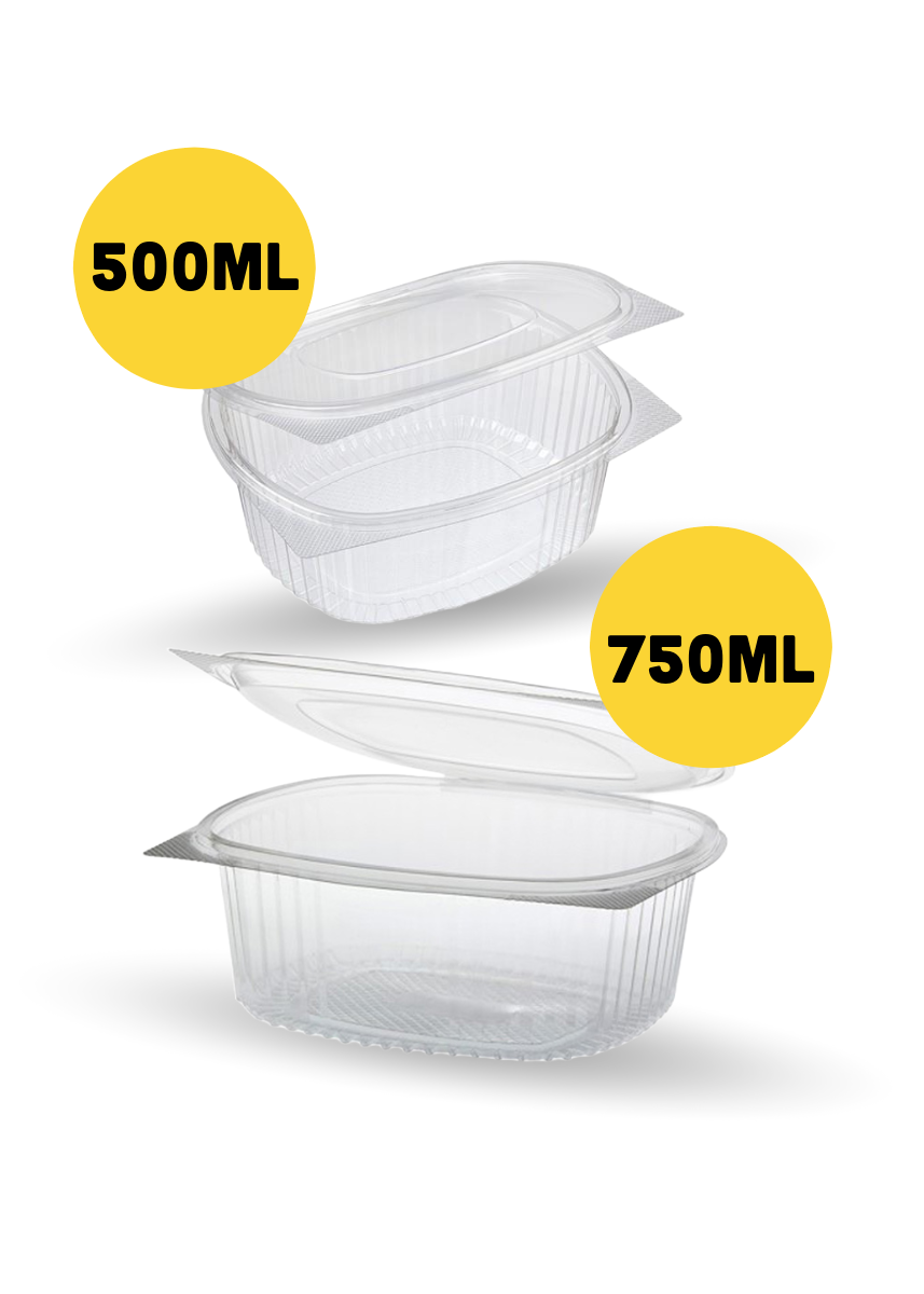 Plastic Container for Food  |