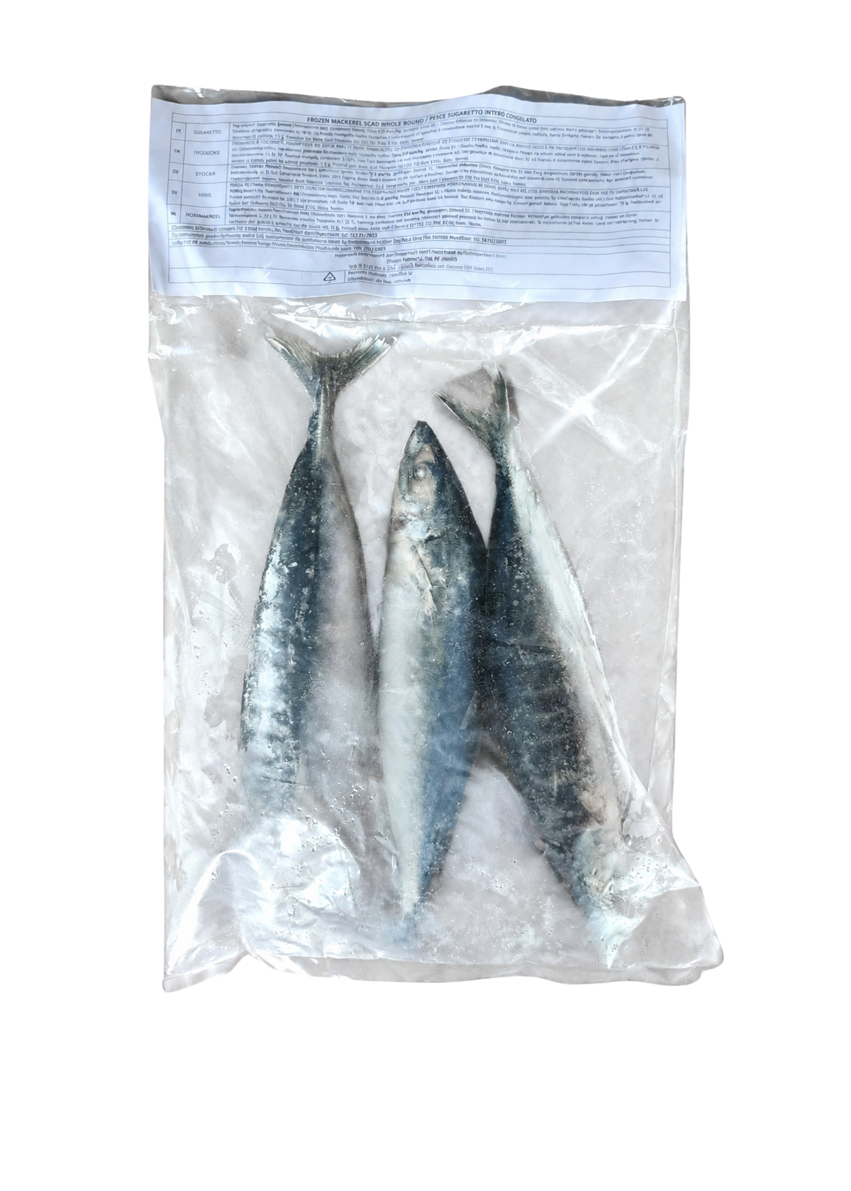 Aden Gulf Fisheries | Celý nevy kuchaný kranas makrelový, 1 kg v balení

